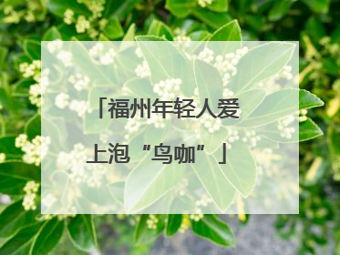 福州年轻人爱上泡“鸟咖”